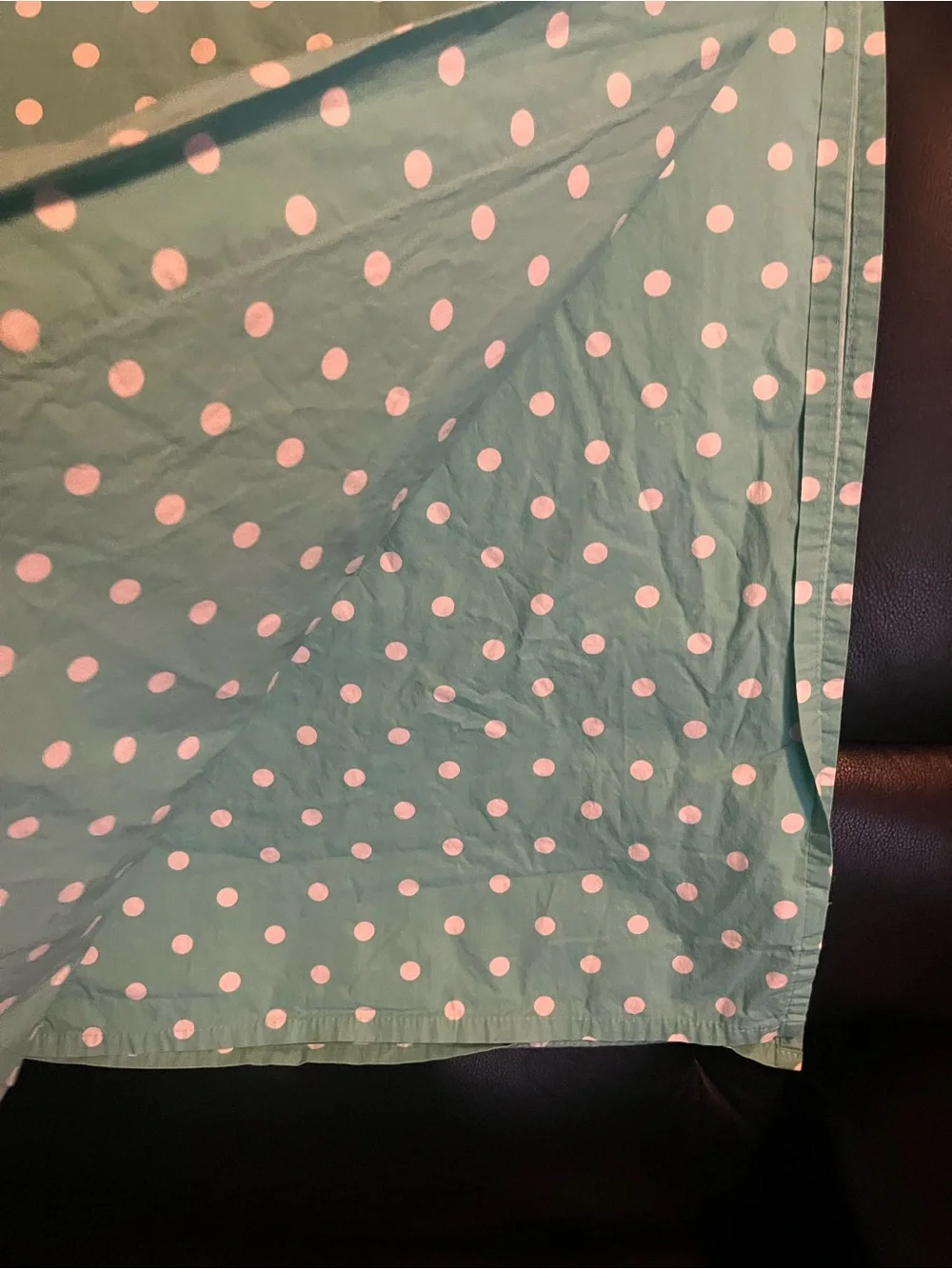 Pottery Barn Polka Dot Powder Green Full Flat sheet